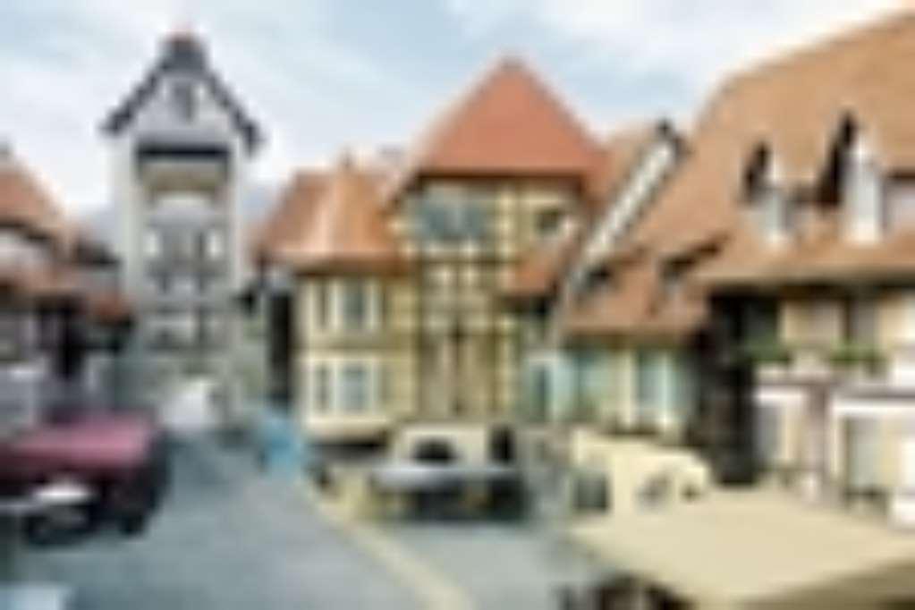 Colmar Tropicale